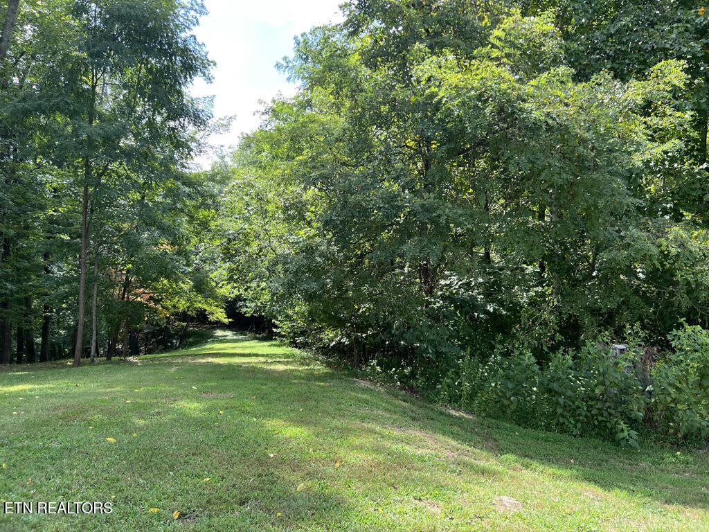Lot 54-59 Cheri Lane Caryville TN 37714