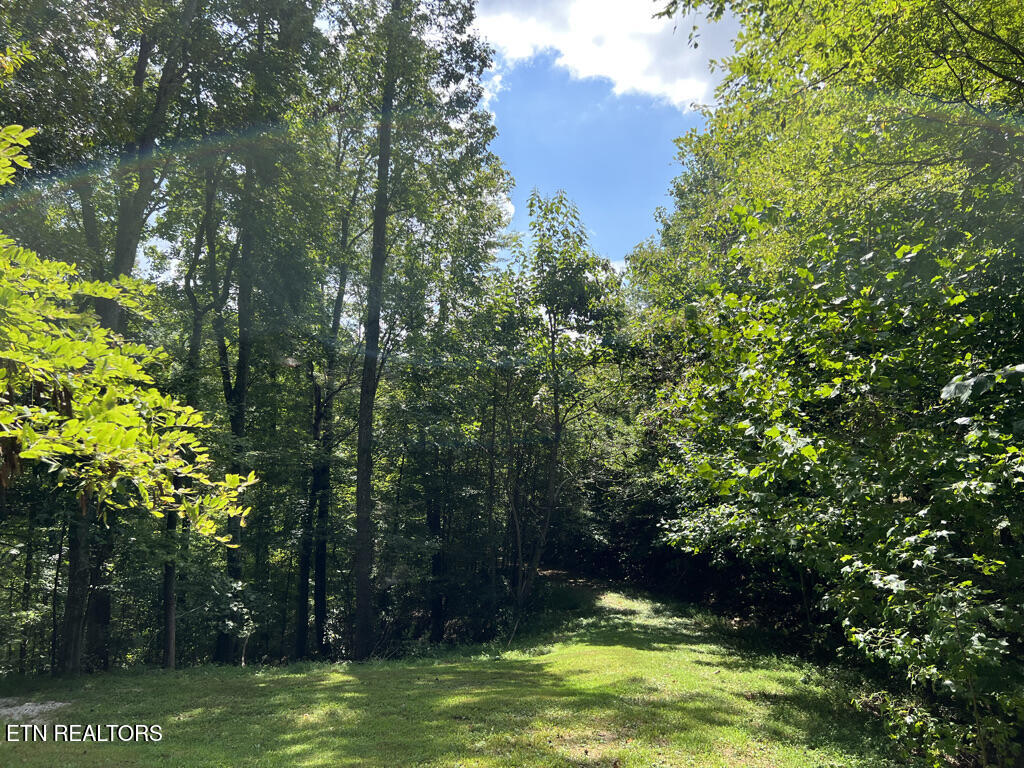 Lot 54-59 Cheri Lane Caryville TN 37714