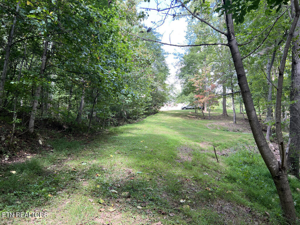 Lot 54-59 Cheri Lane Caryville TN 37714