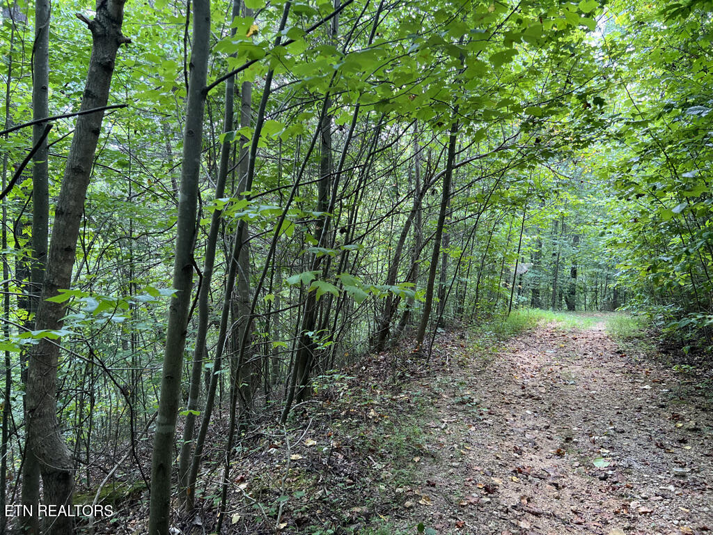 Lot 54-59 Cheri Lane Caryville TN 37714