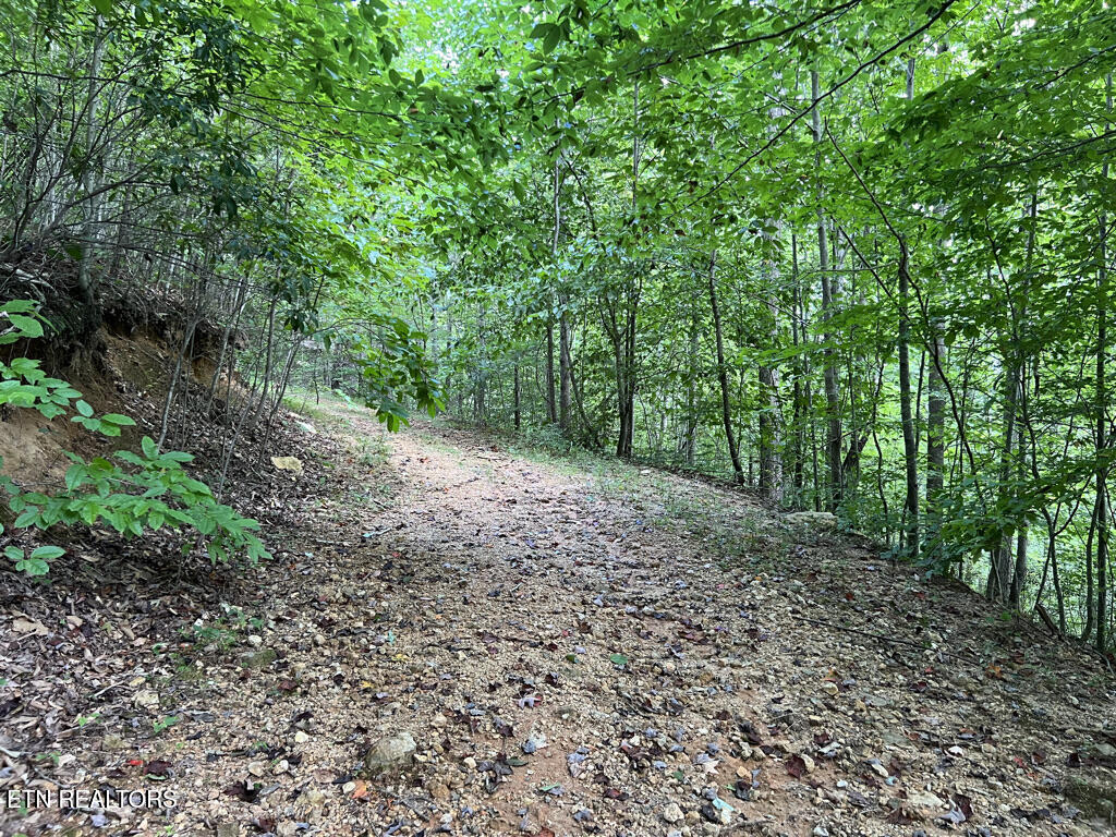 Lot 54-59 Cheri Lane Caryville TN 37714