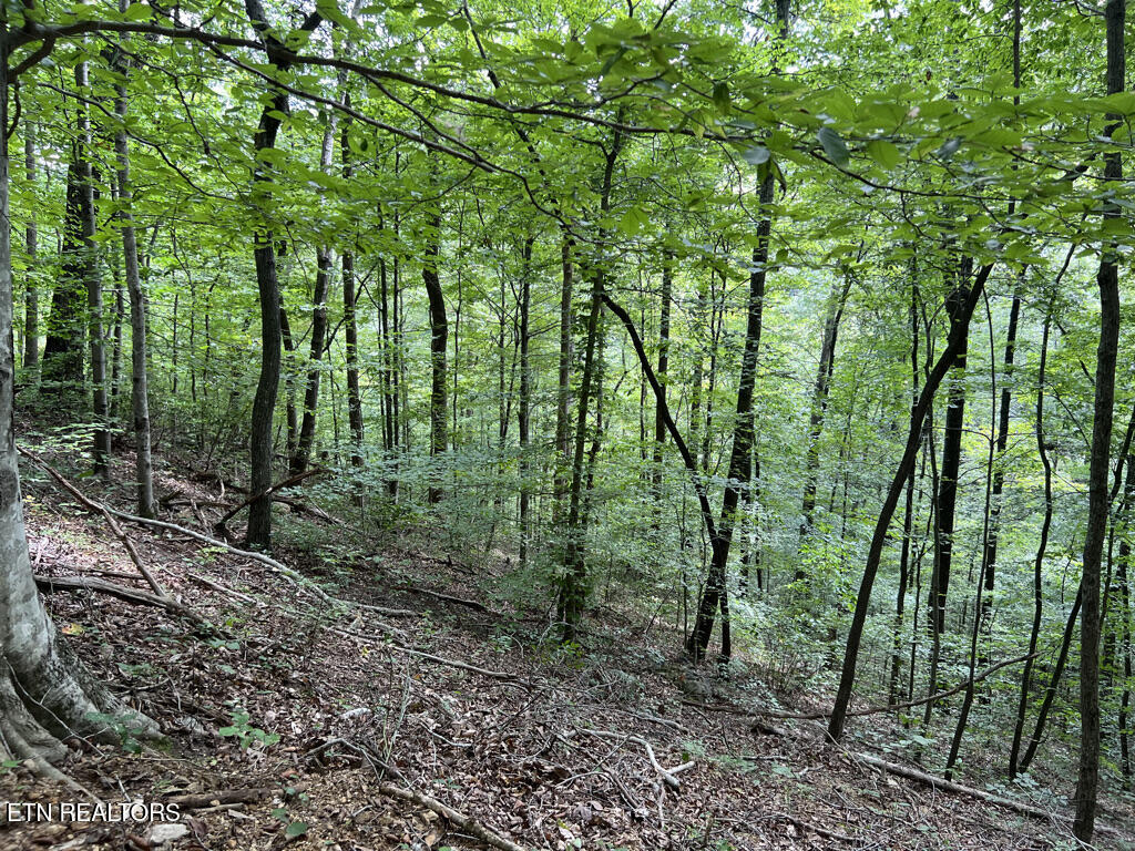 Lot 54-59 Cheri Lane Caryville TN 37714