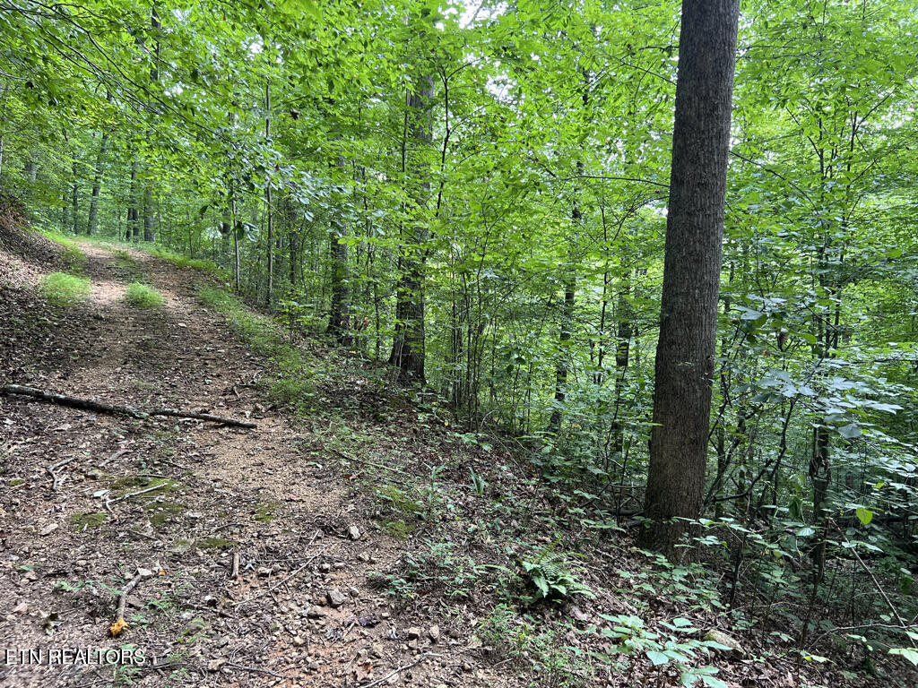 Lot 54-59 Cheri Lane Caryville TN 37714