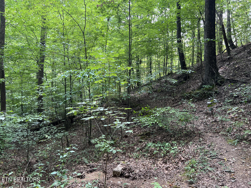 Lot 54-59 Cheri Lane Caryville TN 37714