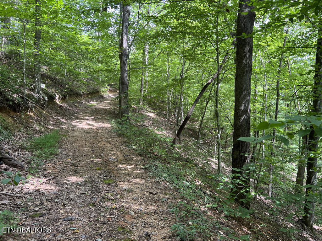 Lot 54-59 Cheri Lane Caryville TN 37714