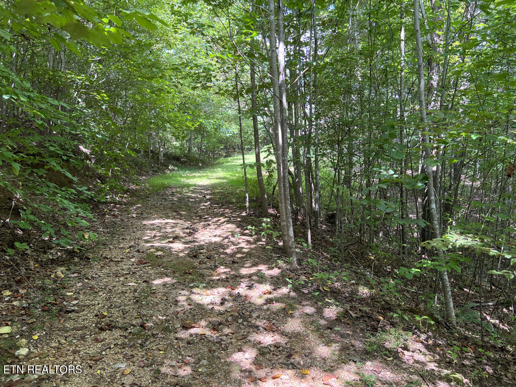Lot 54-59 Cheri Lane Caryville TN 37714