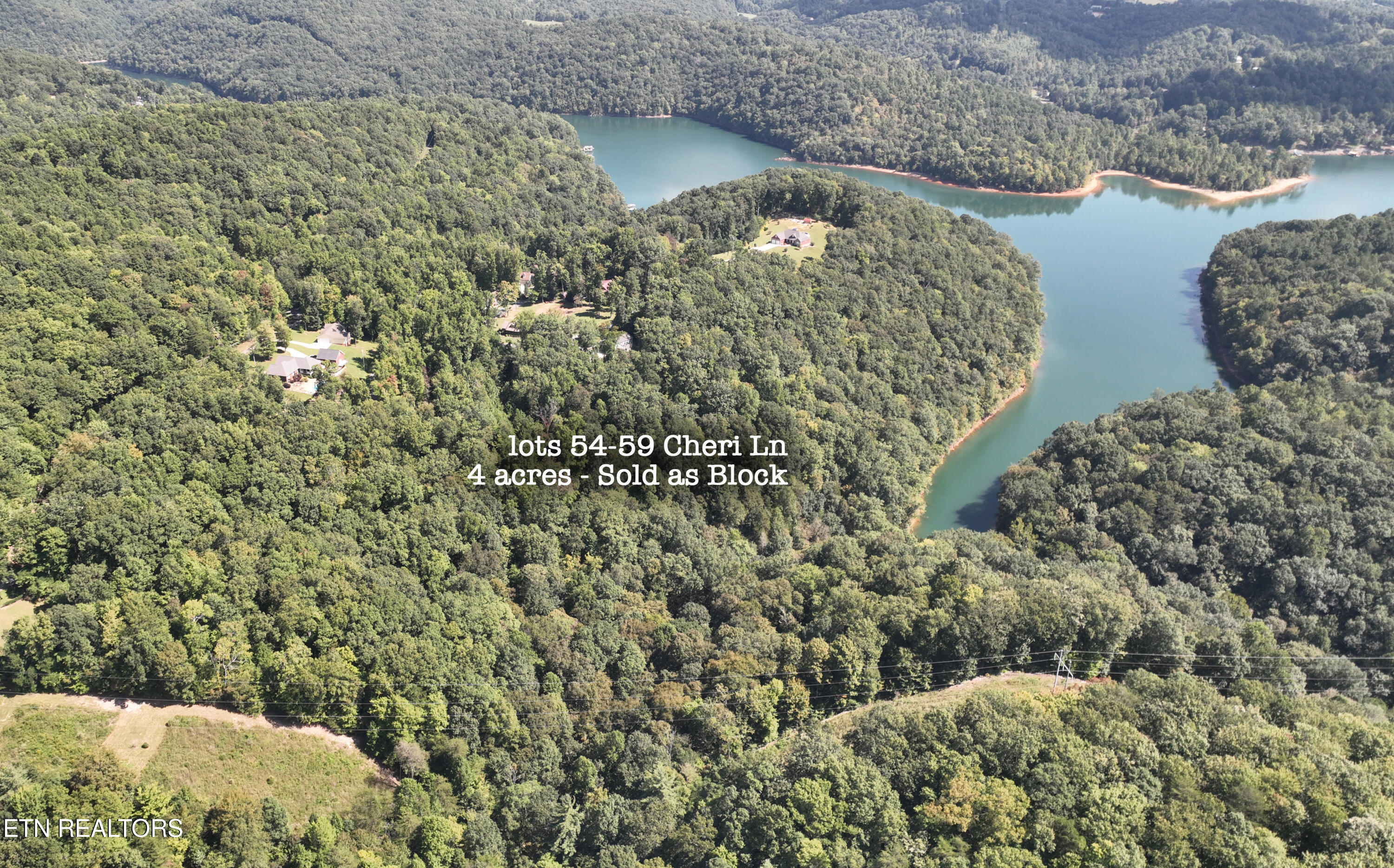 Lot 54-59 Cheri Lane Caryville TN 37714