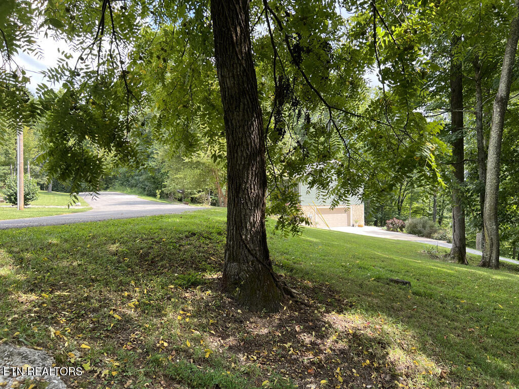 Lot 54-59 Cheri Lane Caryville TN 37714