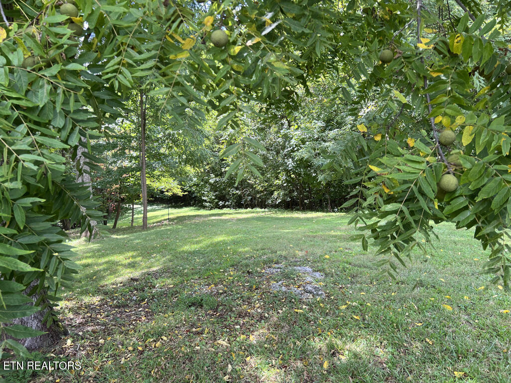 Lot 54-59 Cheri Lane Caryville TN 37714