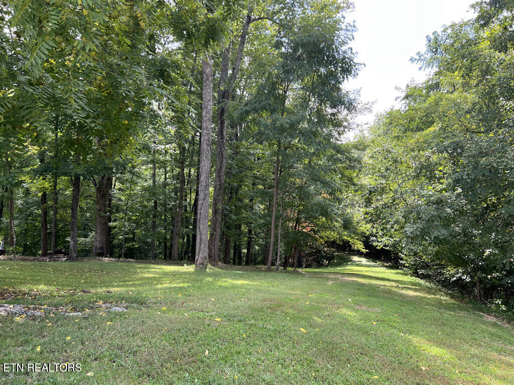 Lot 54-59 Cheri Lane Caryville TN 37714