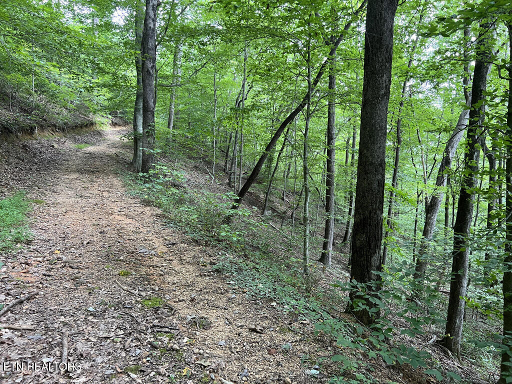 Lot 54-59 Cheri Lane Caryville TN 37714