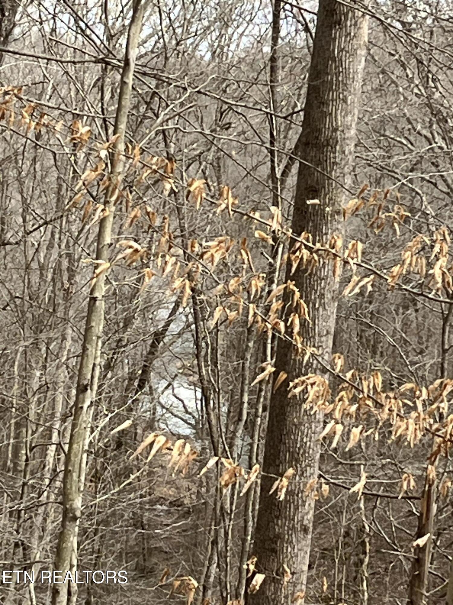 Lot 54-59 Cheri Lane Caryville TN 37714