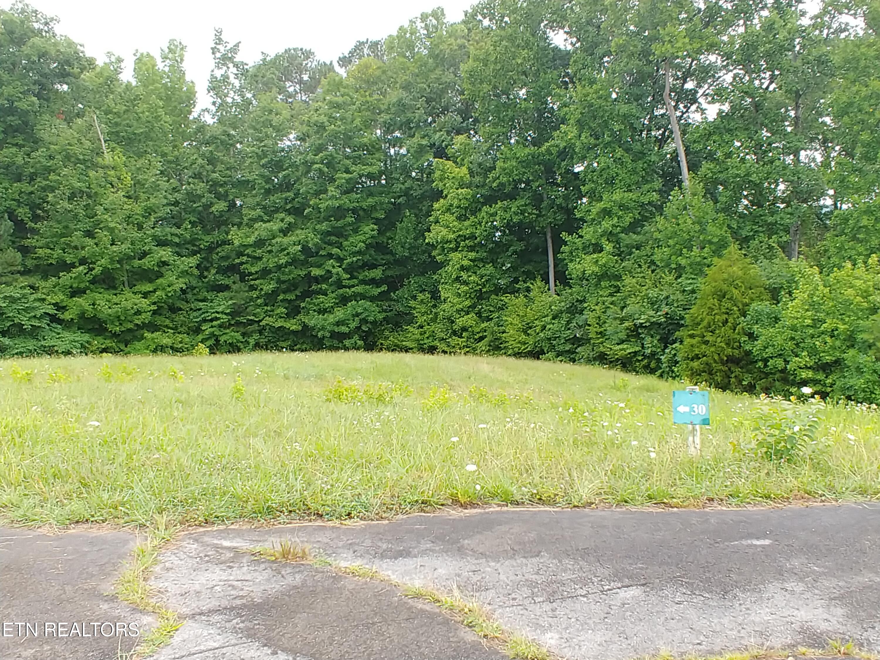 0 Mill Drive Decatur TN 37322