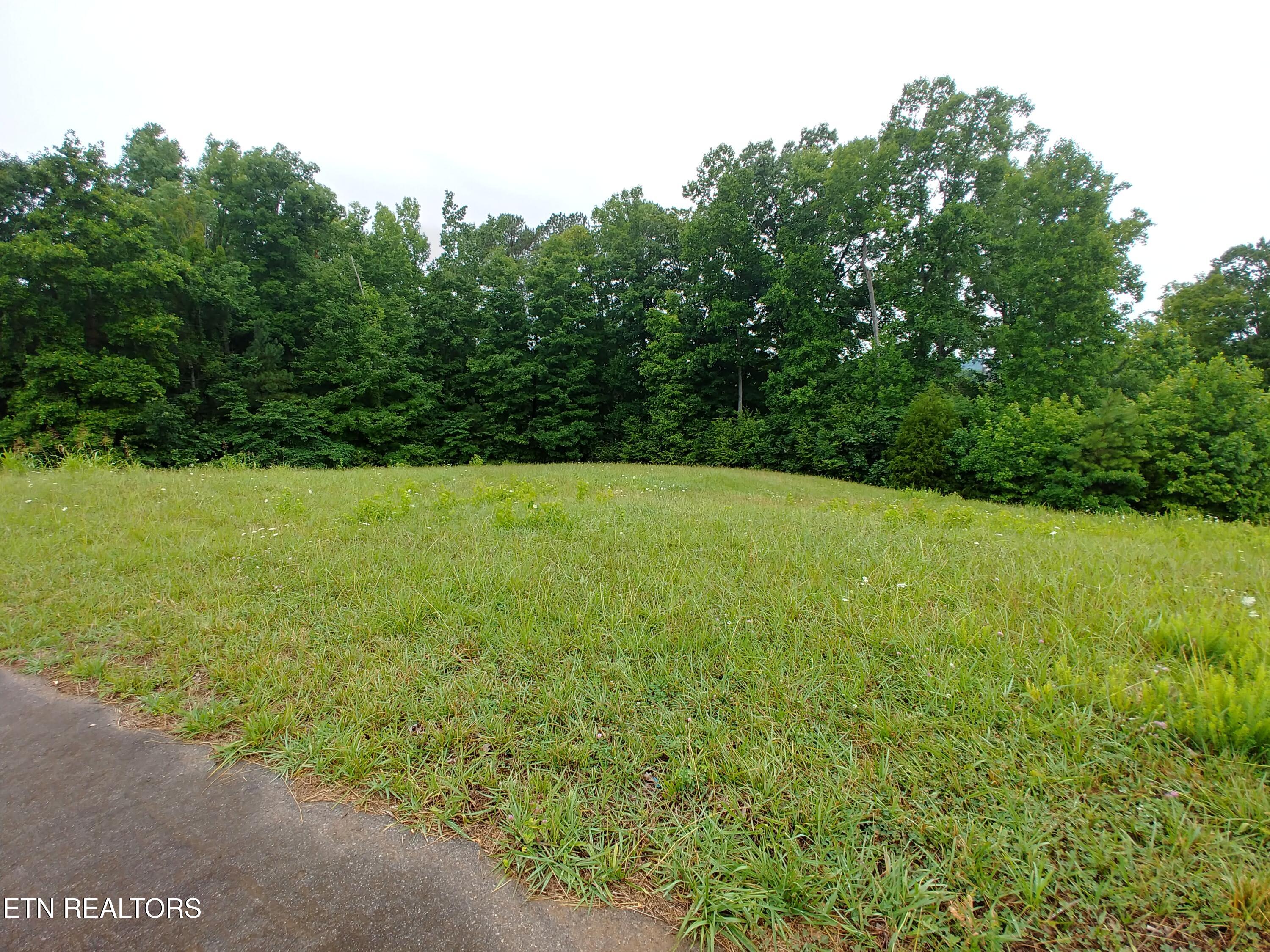 0 Mill Drive Decatur TN 37322