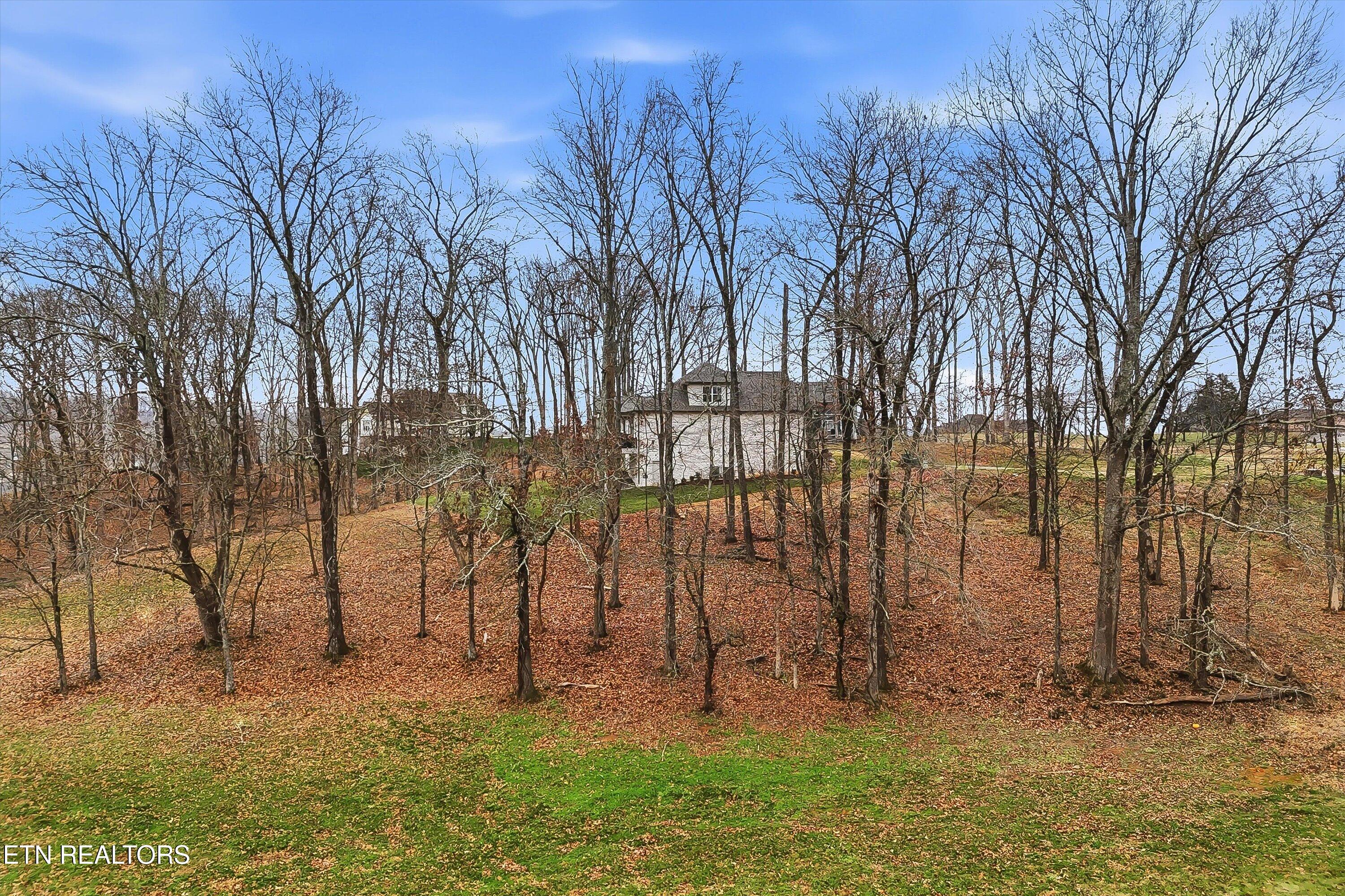 185 Keho Court Loudon TN 37774