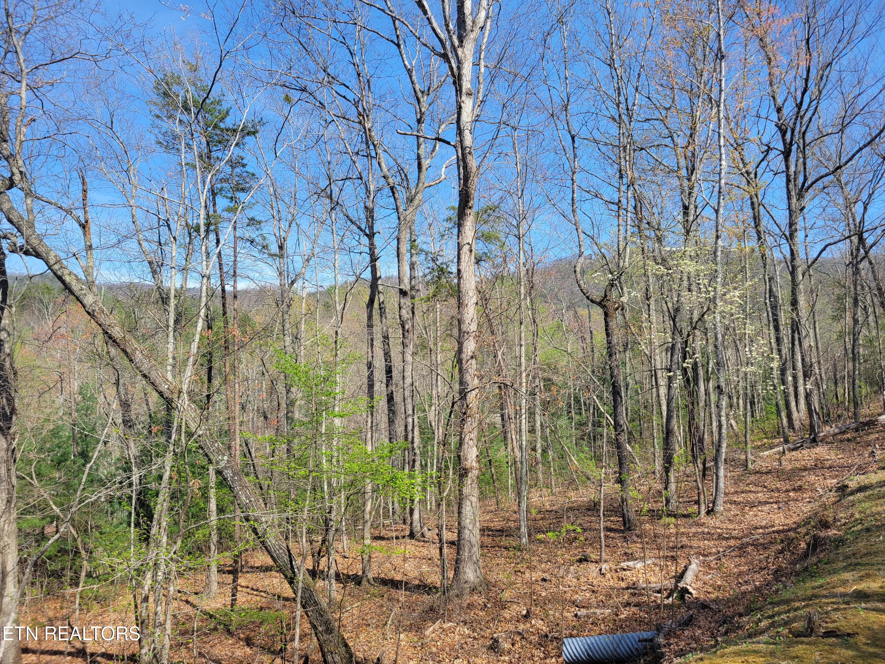 Lot 10 Black Oak Drive Sevierville TN 37876