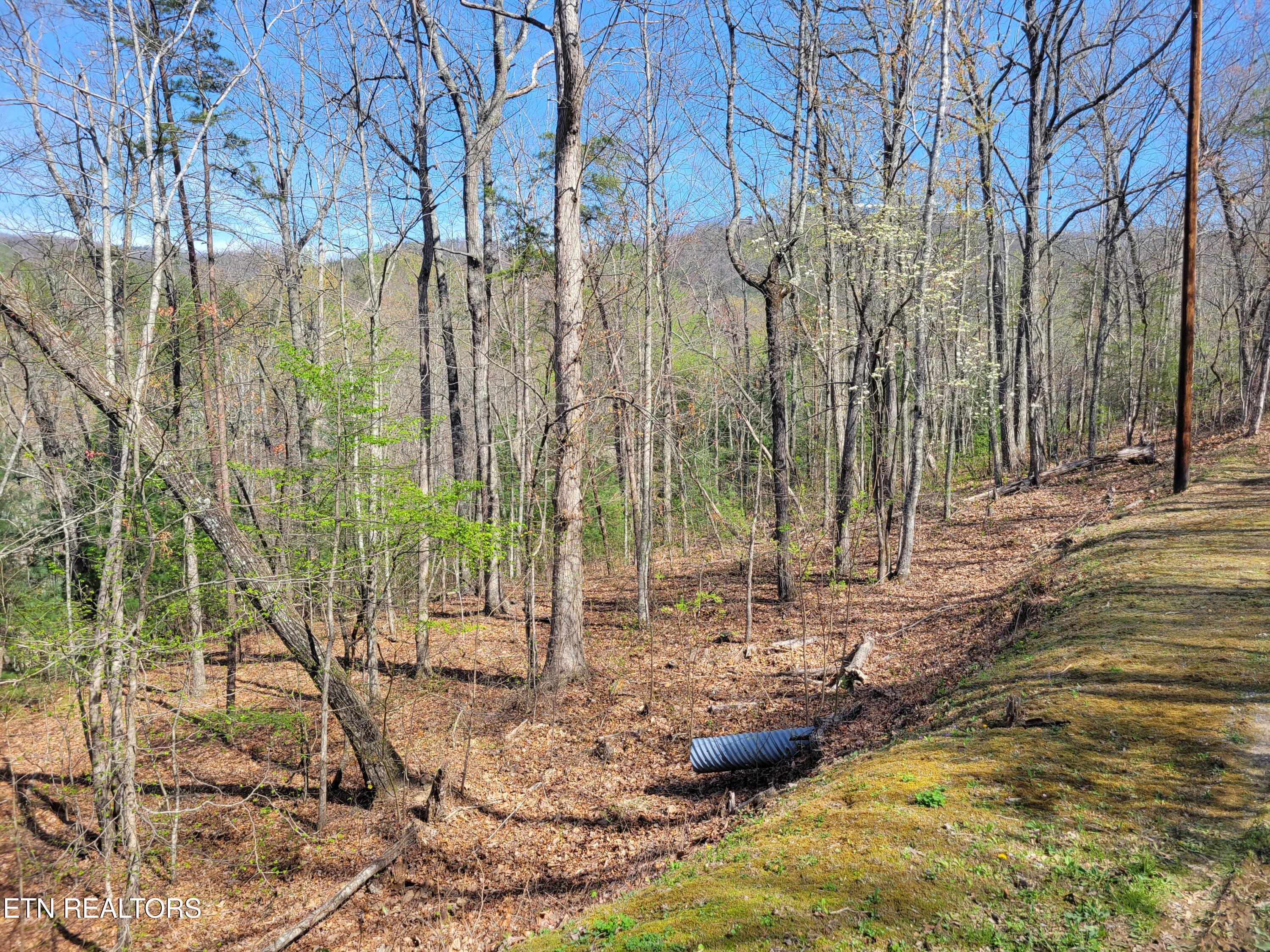 Lot 10 Black Oak Drive Sevierville TN 37876