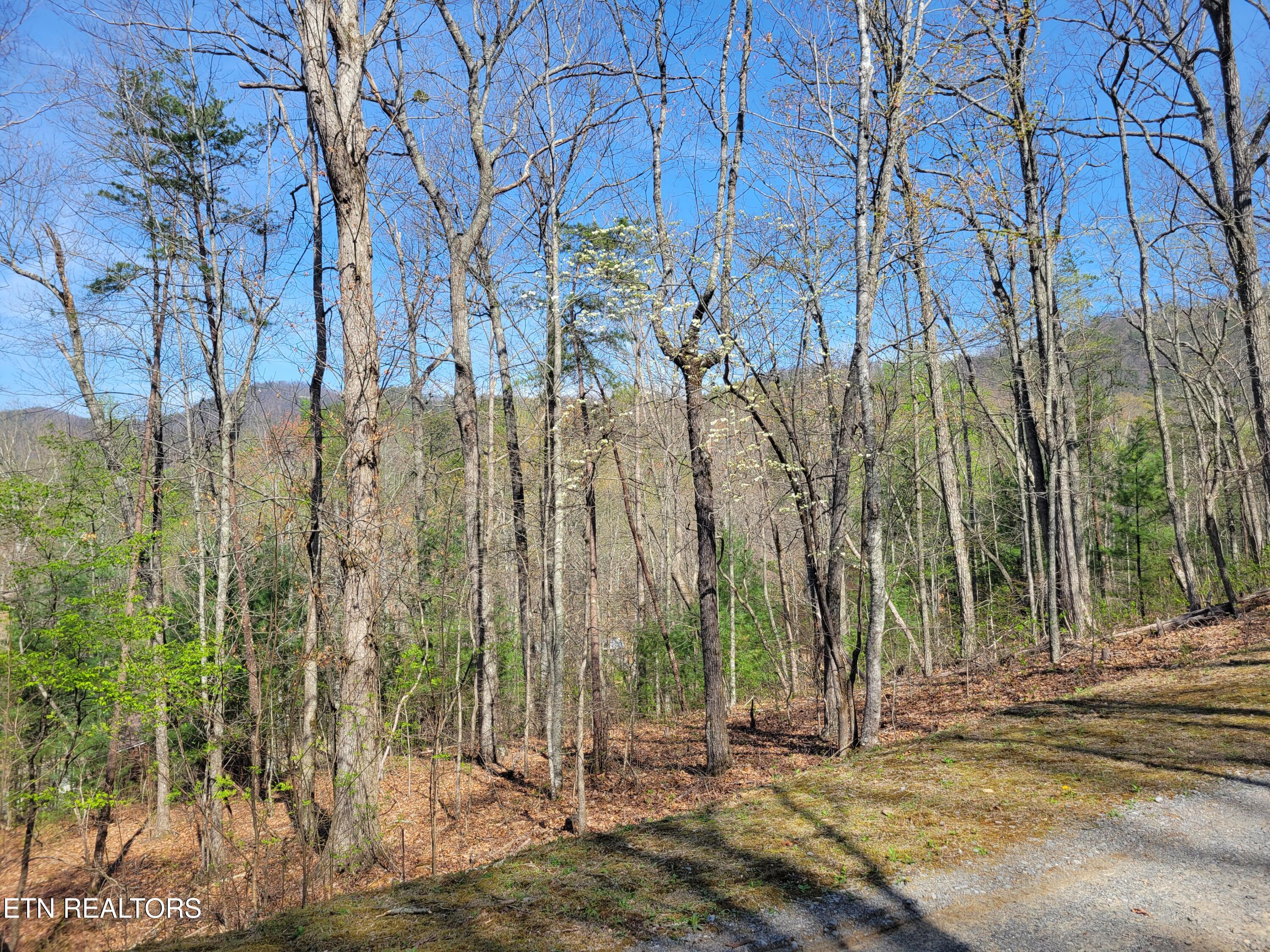Lot 10 Black Oak Drive Sevierville TN 37876