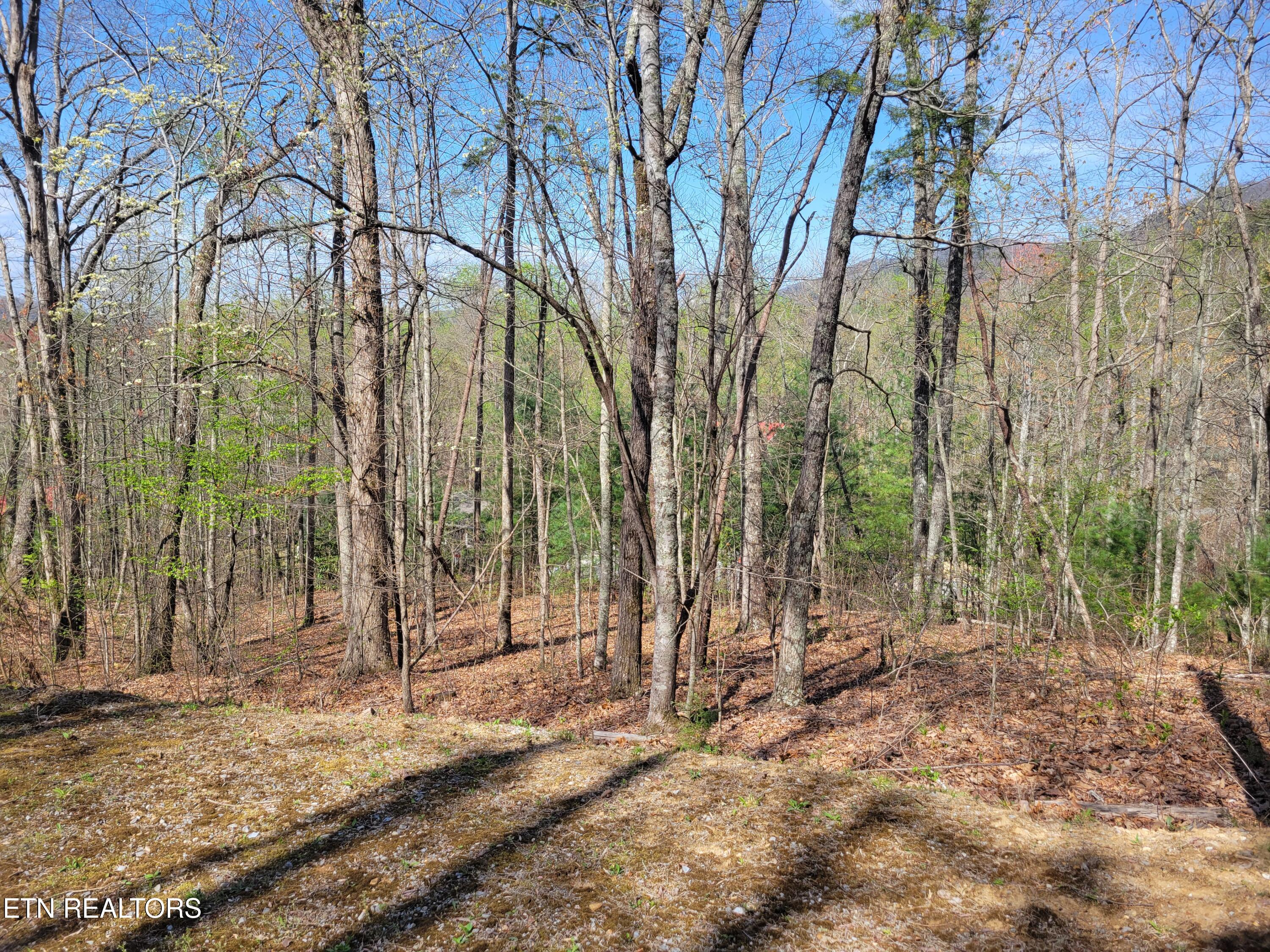 Lot 10 Black Oak Drive Sevierville TN 37876