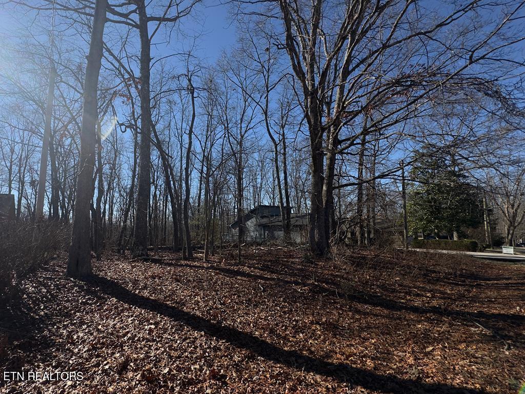 336 Lakeview Drive Crossville TN 38558