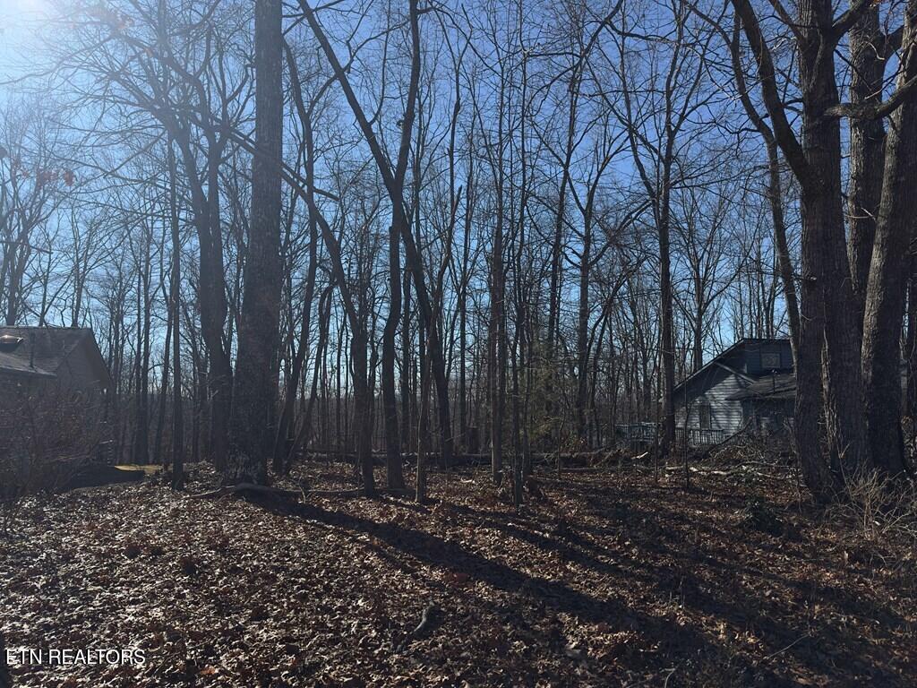 336 Lakeview Drive Crossville TN 38558