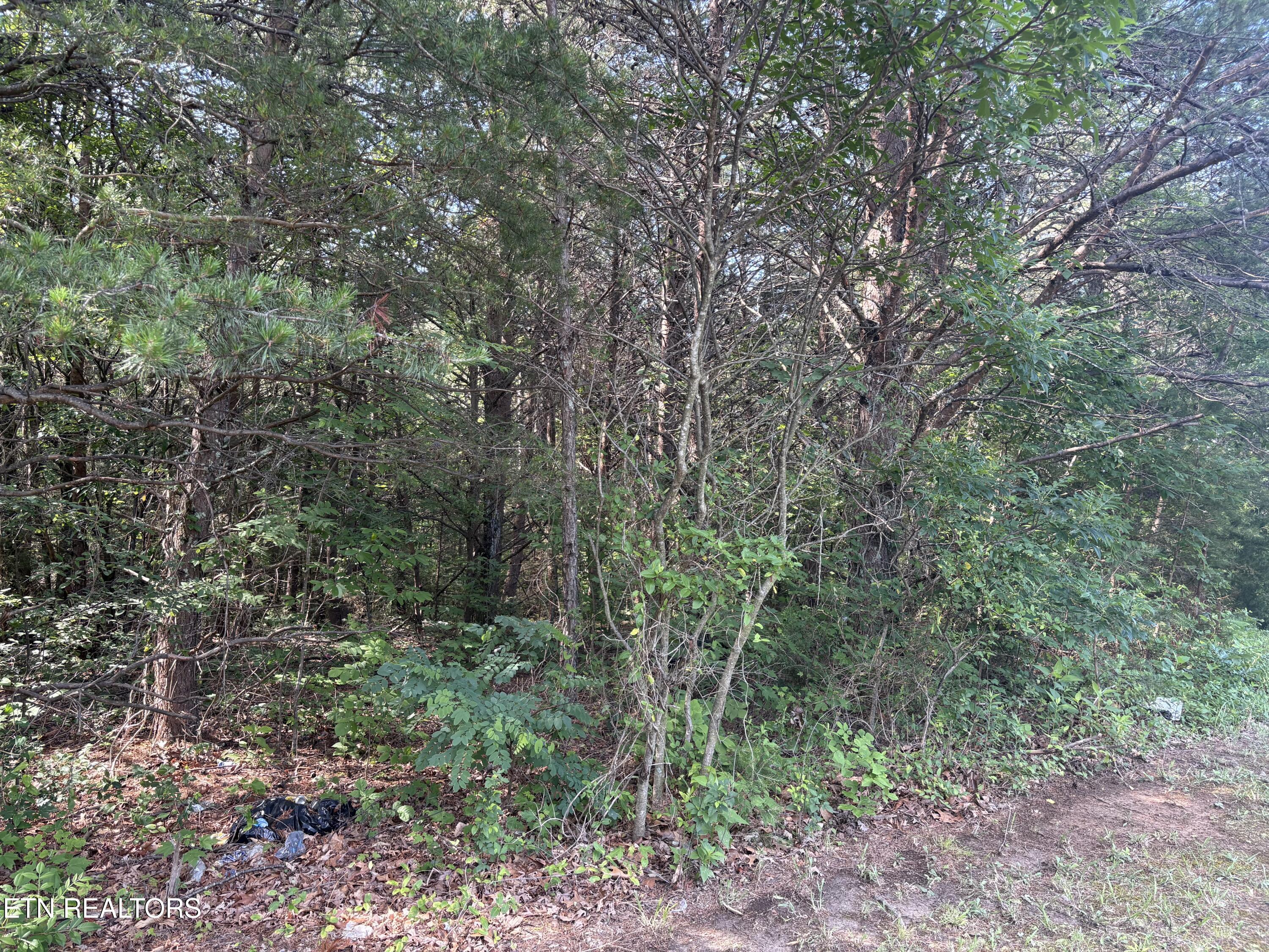 Shiner Run Way Newport TN 37821