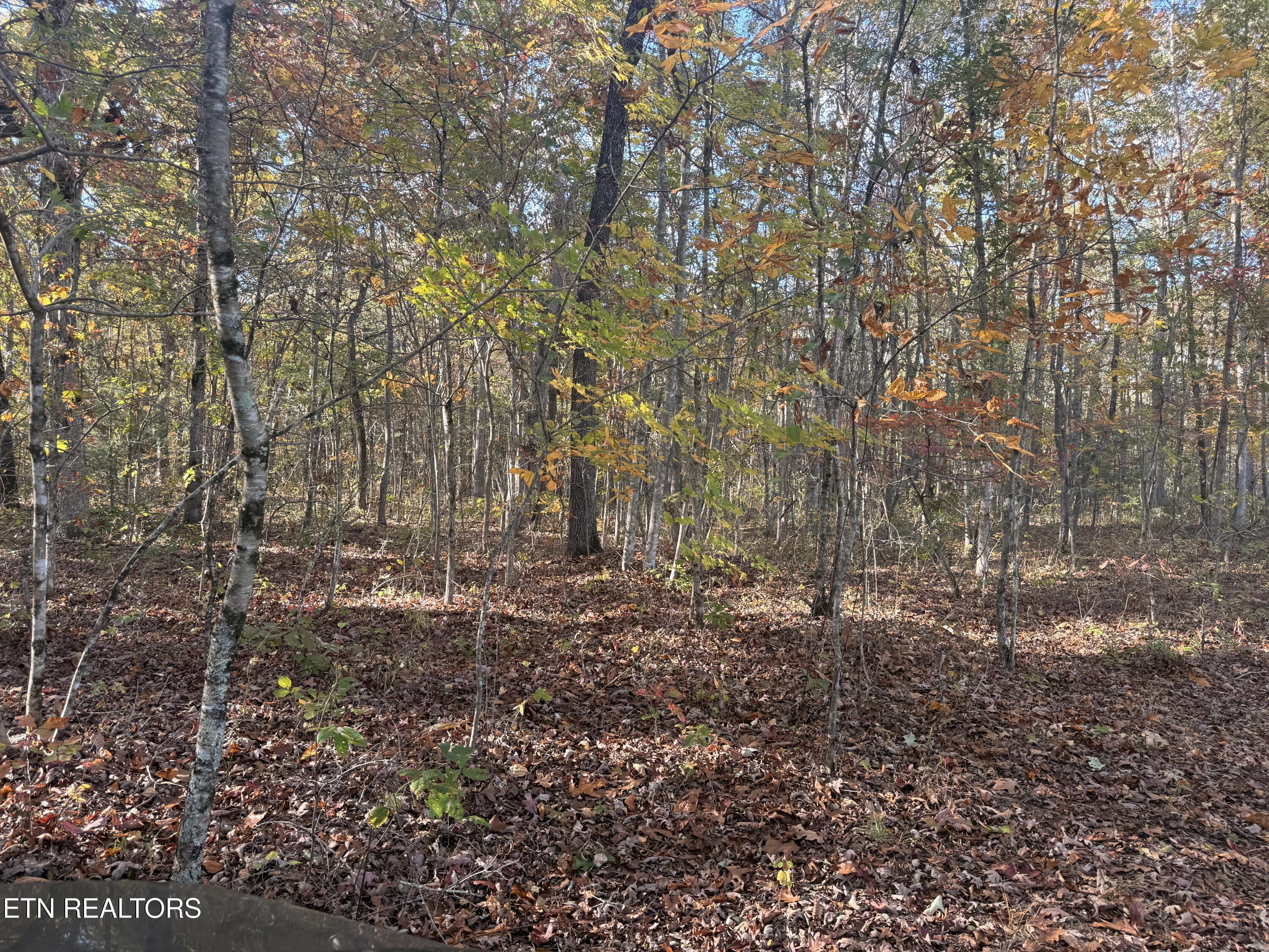 00 Davidson Lane Crossville TN 38571