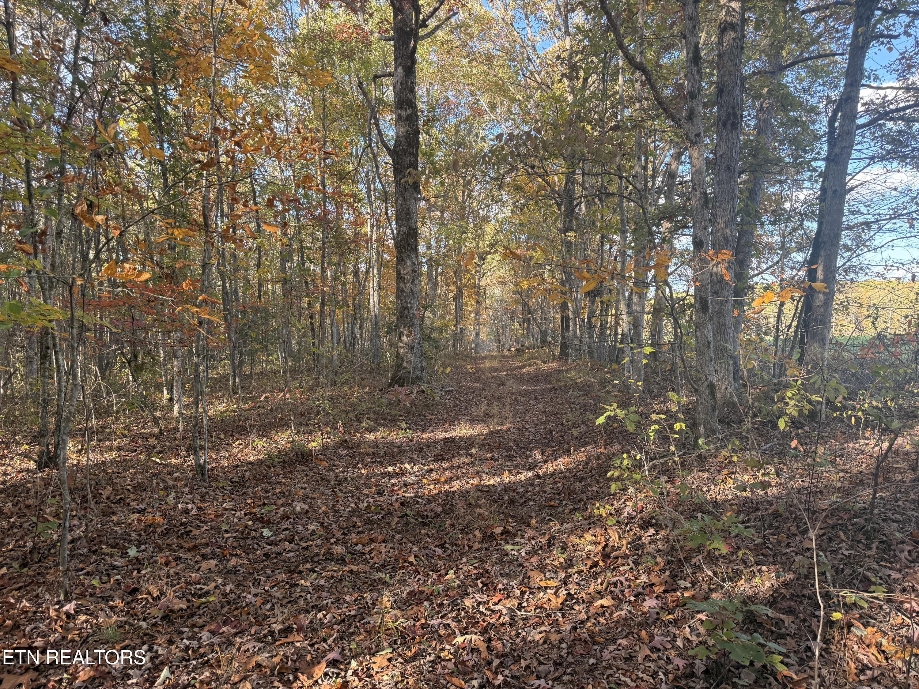 00 Davidson Lane Crossville TN 38571