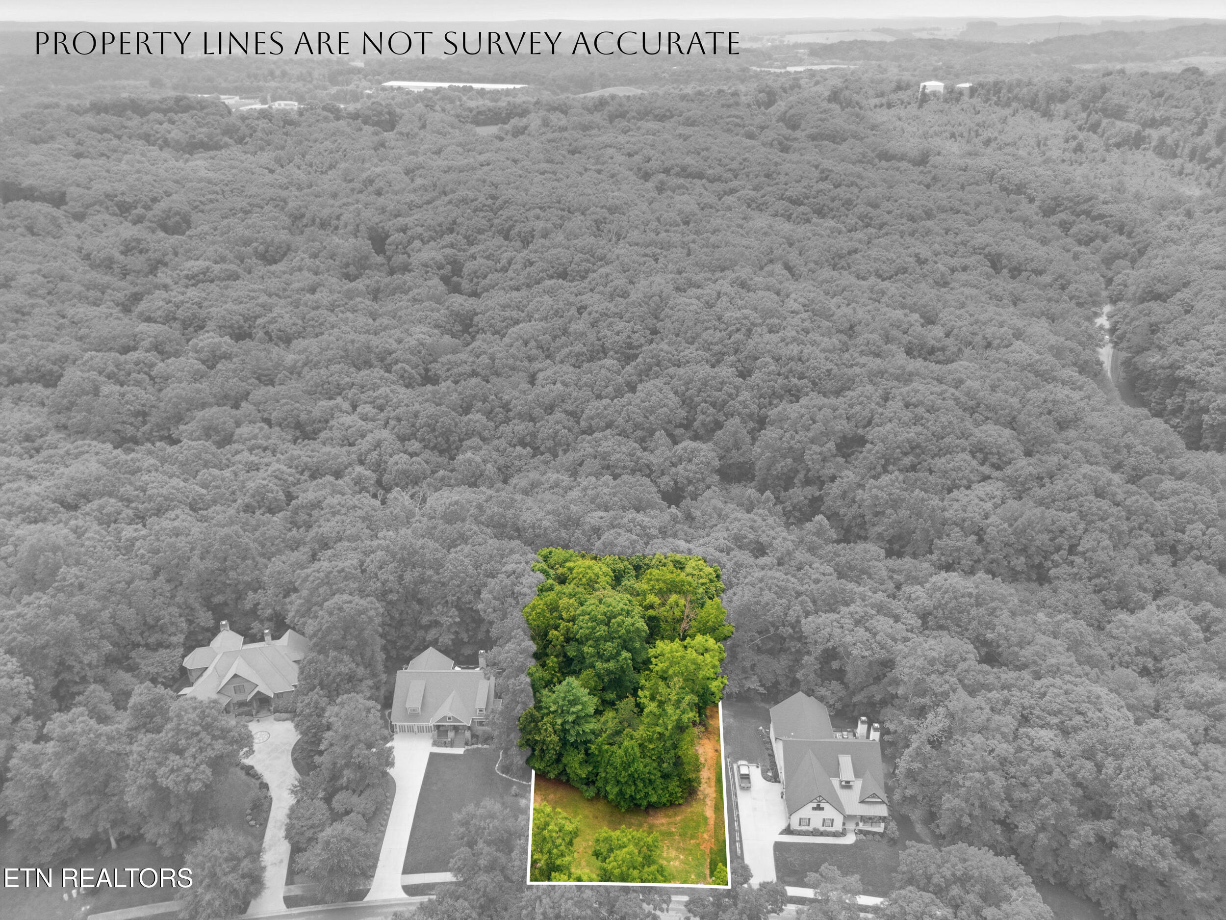 1004 Old Dogwood Trail Loudon TN 37774
