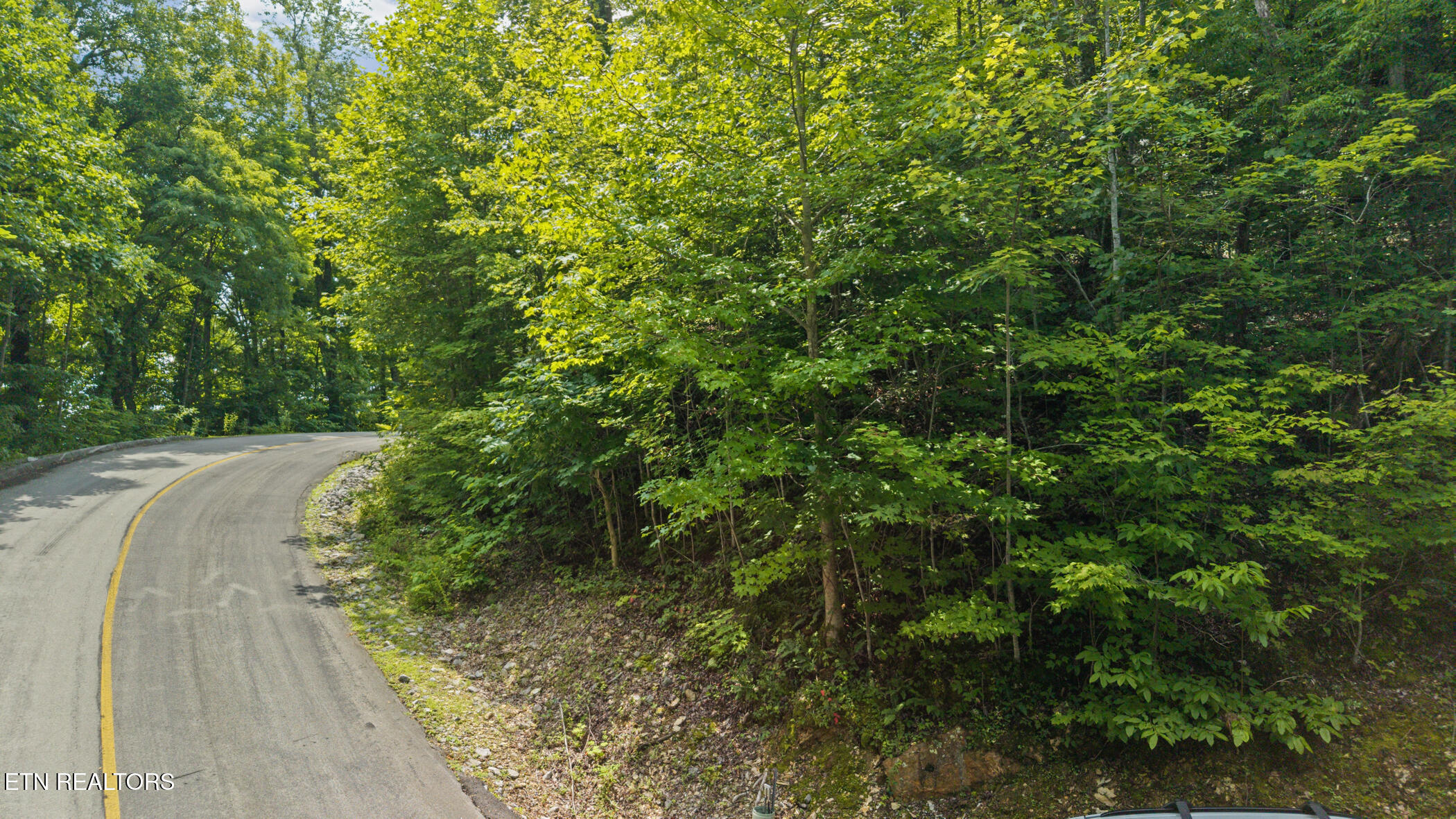 Whetstone Road Sevierville TN 37862
