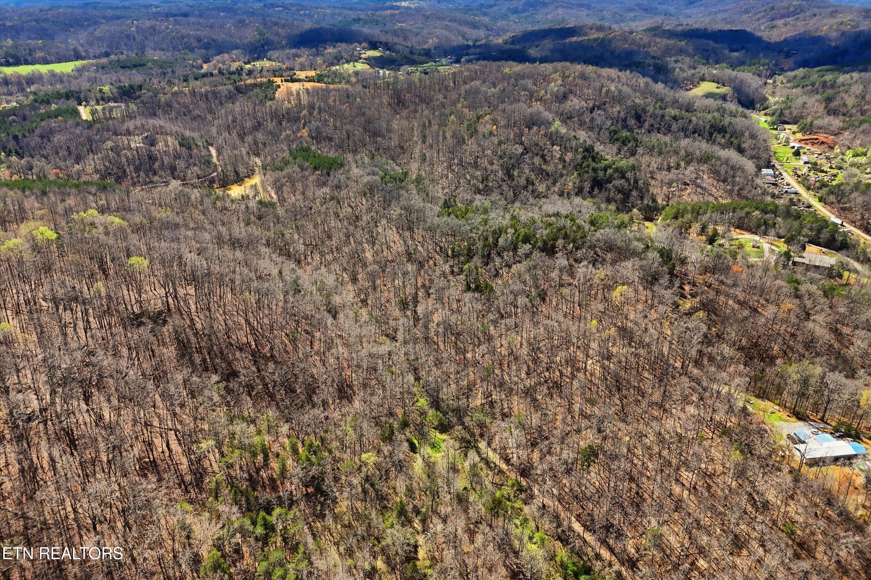 165 Happy Hollow Road Madisonville TN 37354