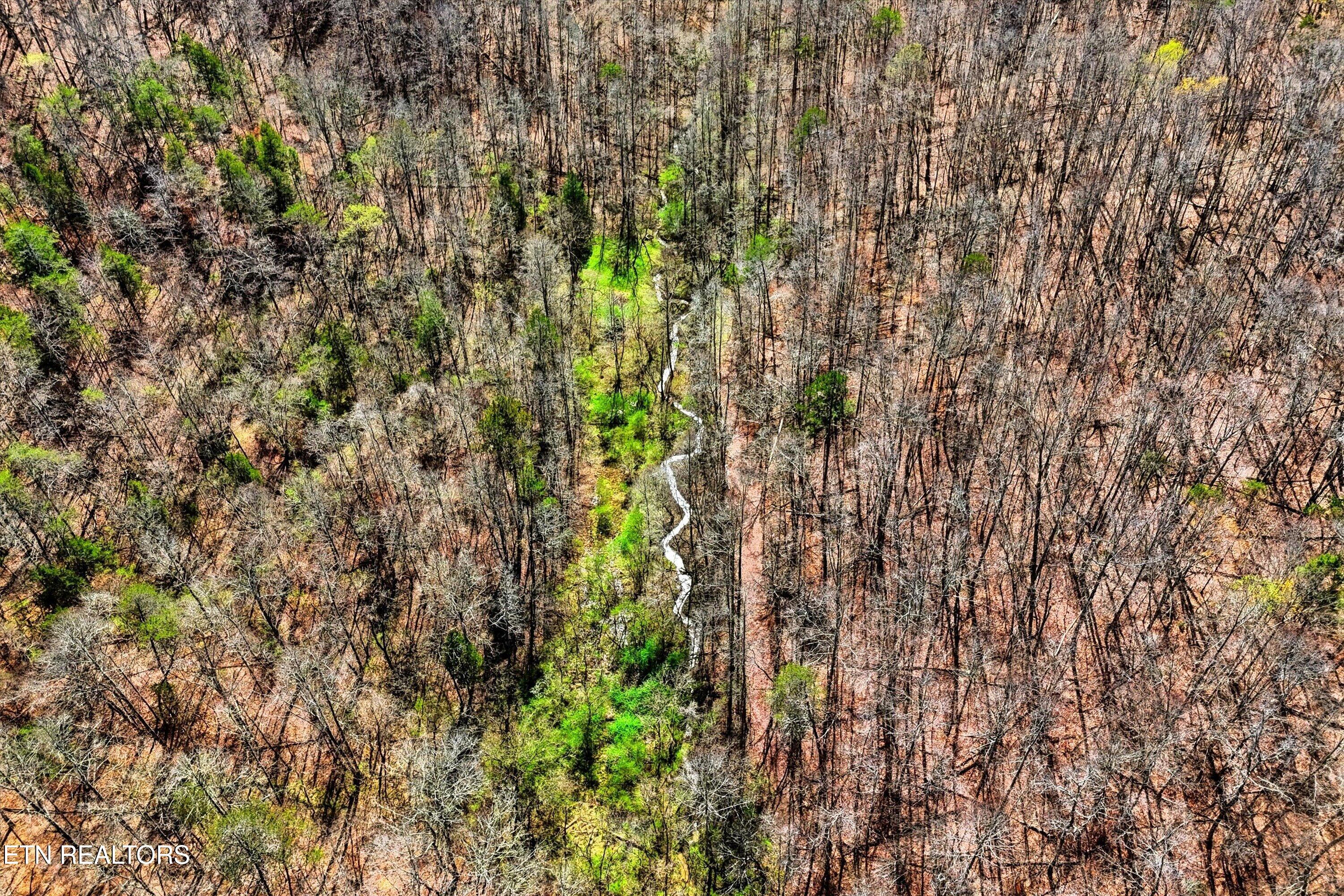 165 Happy Hollow Road Madisonville TN 37354