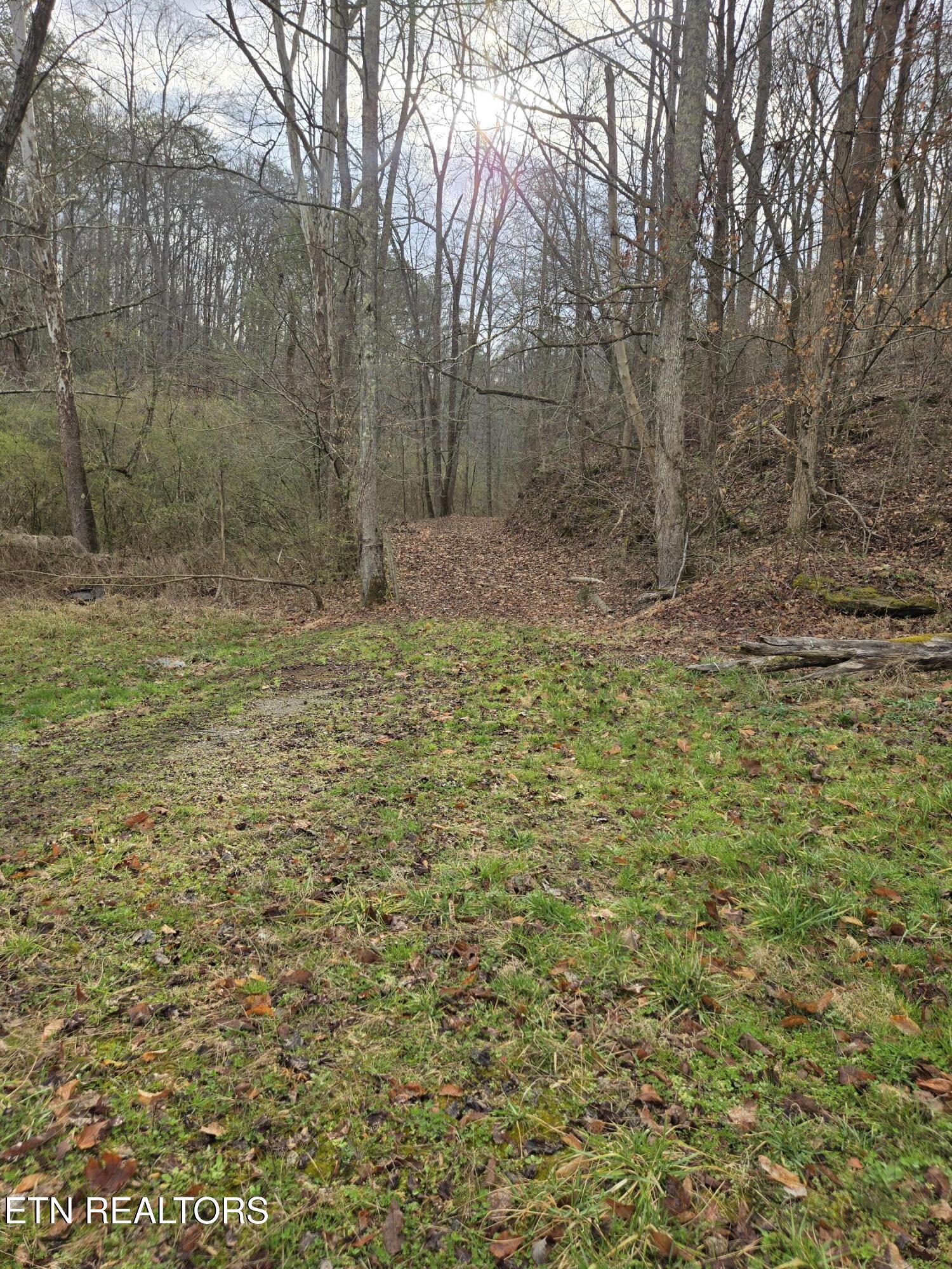 165 Happy Hollow Road Madisonville TN 37354