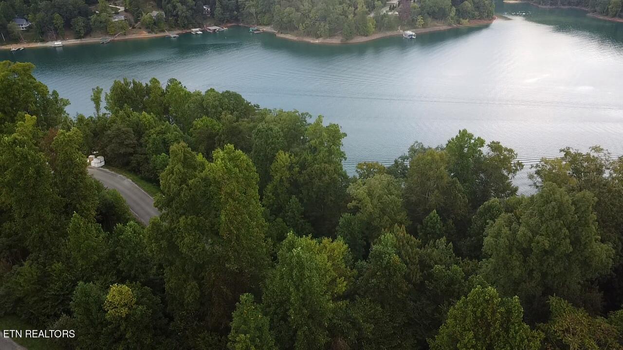 229 Suncrest Cove Lafollette TN 37766
