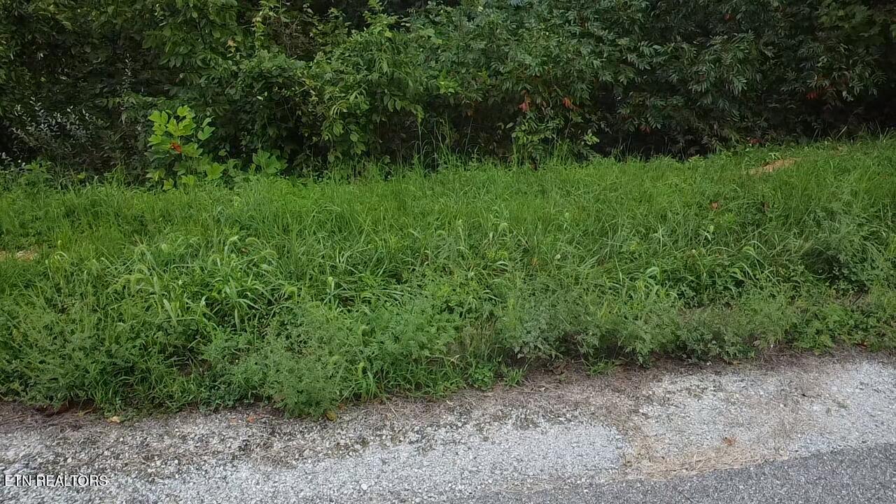 229 Suncrest Cove Lafollette TN 37766