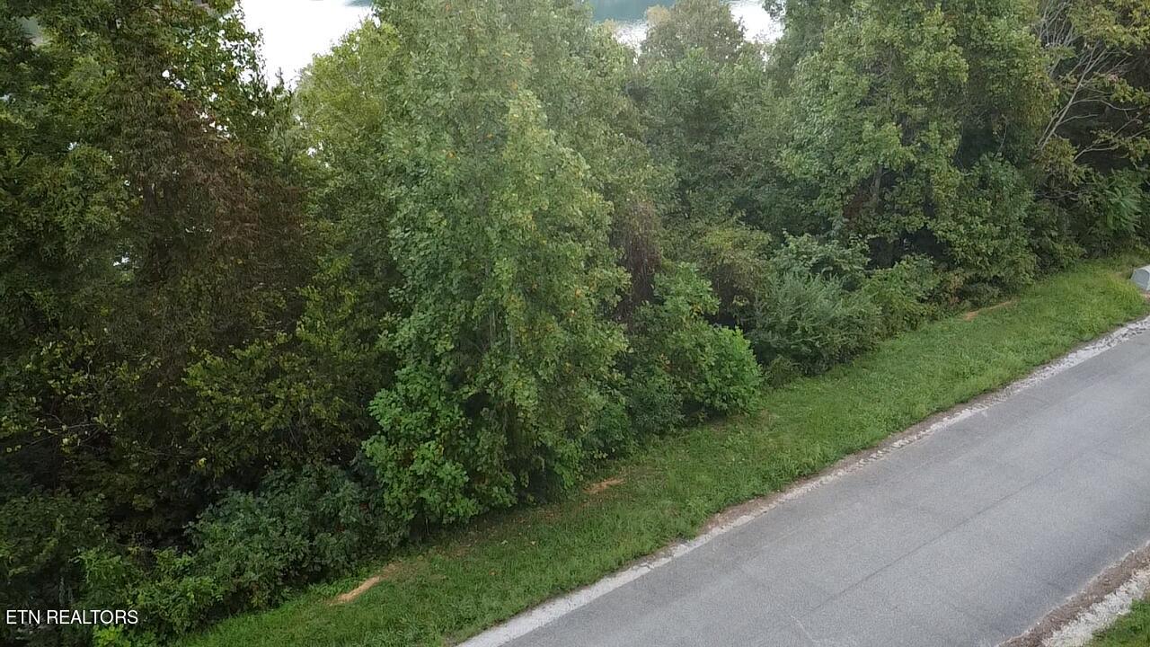229 Suncrest Cove Lafollette TN 37766