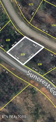 229 Suncrest Cove Lafollette TN 37766