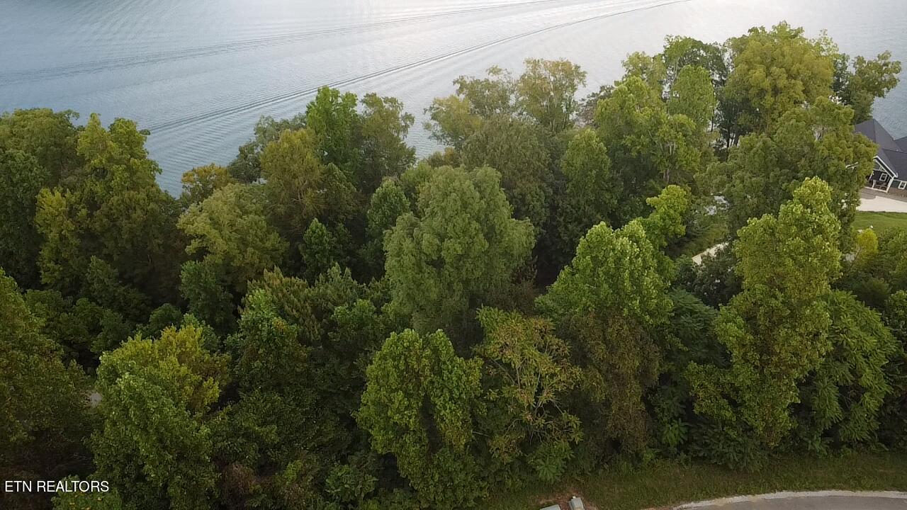 229 Suncrest Cove Lafollette TN 37766