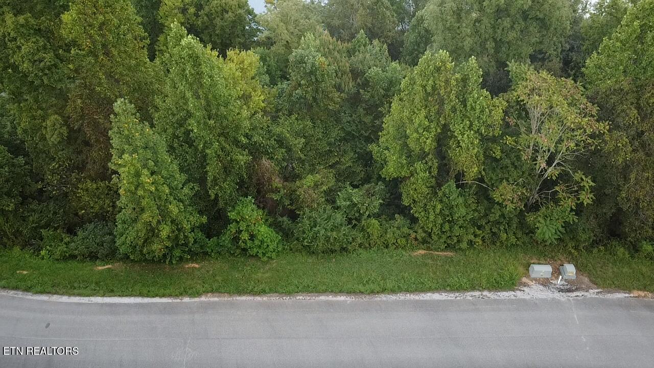 229 Suncrest Cove Lafollette TN 37766