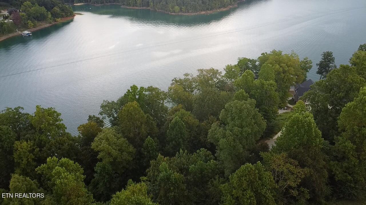 229 Suncrest Cove Lafollette TN 37766