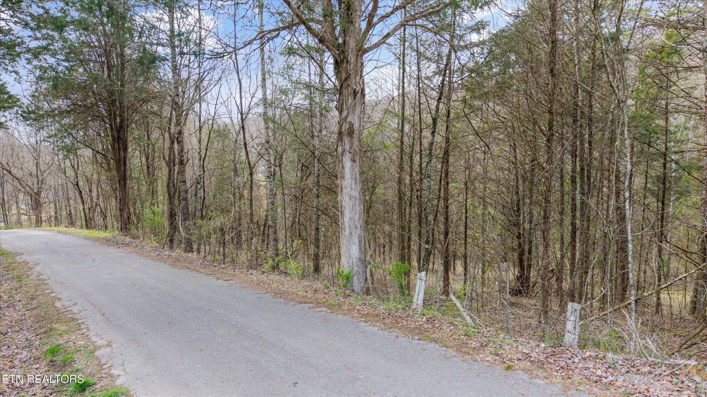 0 Lewis Road Powell TN 37849