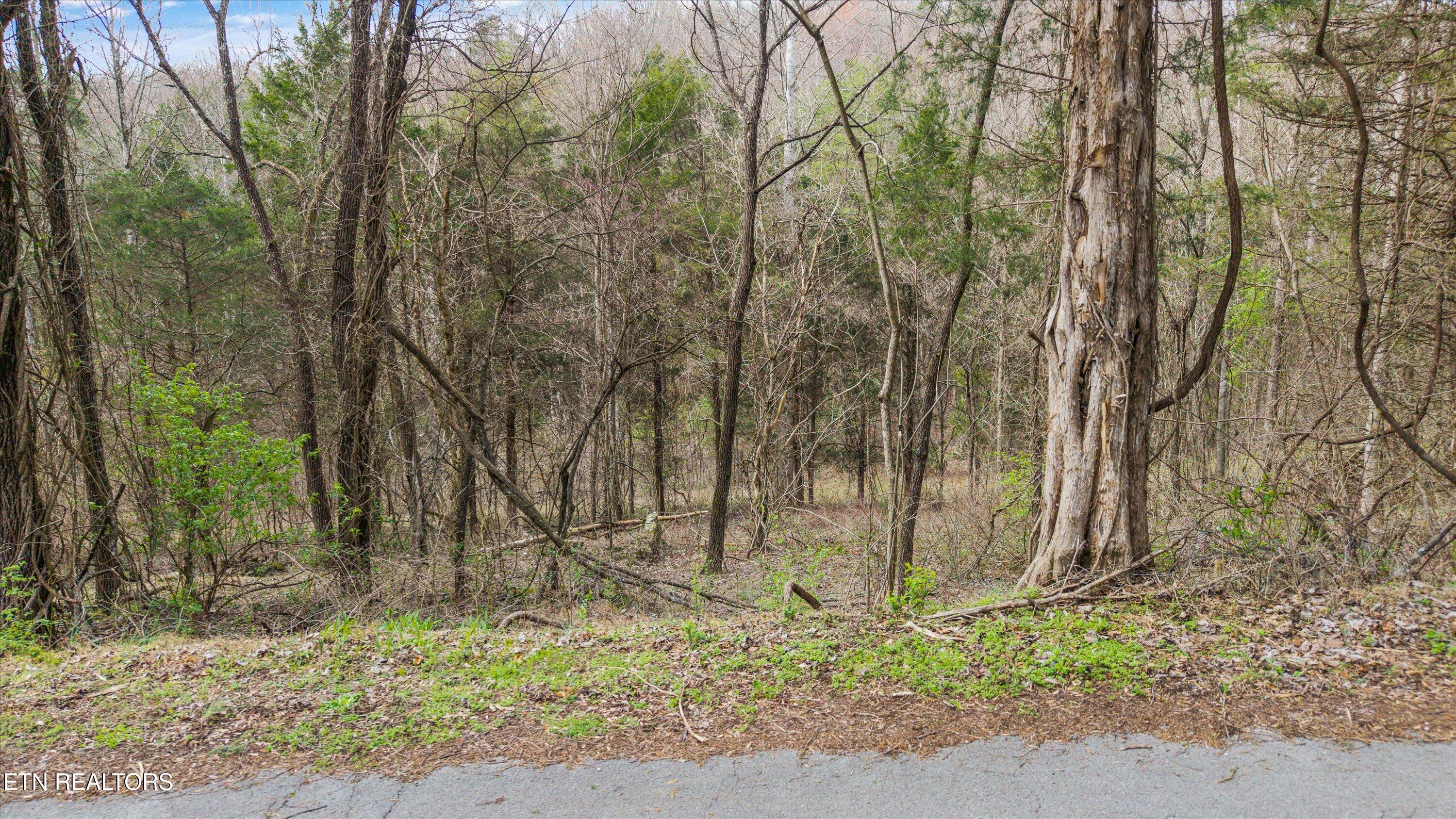 0 Lewis Road Powell TN 37849