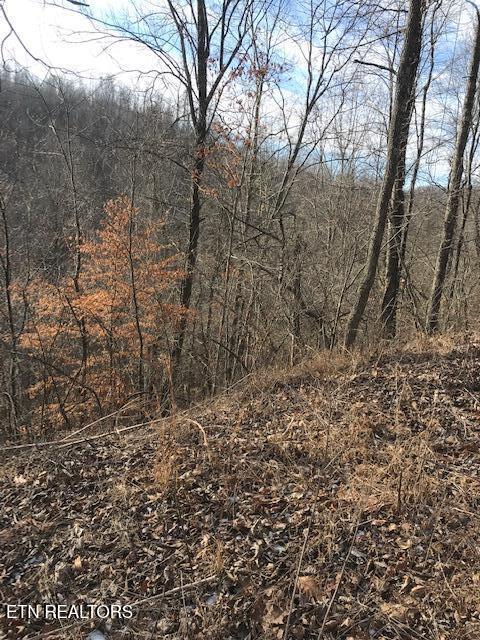 019 007.01 E Of Us Route 27 Sunbright TN 37872