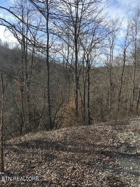 019 007.01 E Of Us Route 27 Sunbright TN 37872
