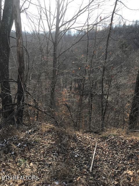 019 007.01 E Of Us Route 27 Sunbright TN 37872