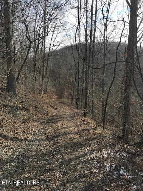 019 007.01 E Of Us Route 27 Sunbright TN 37872