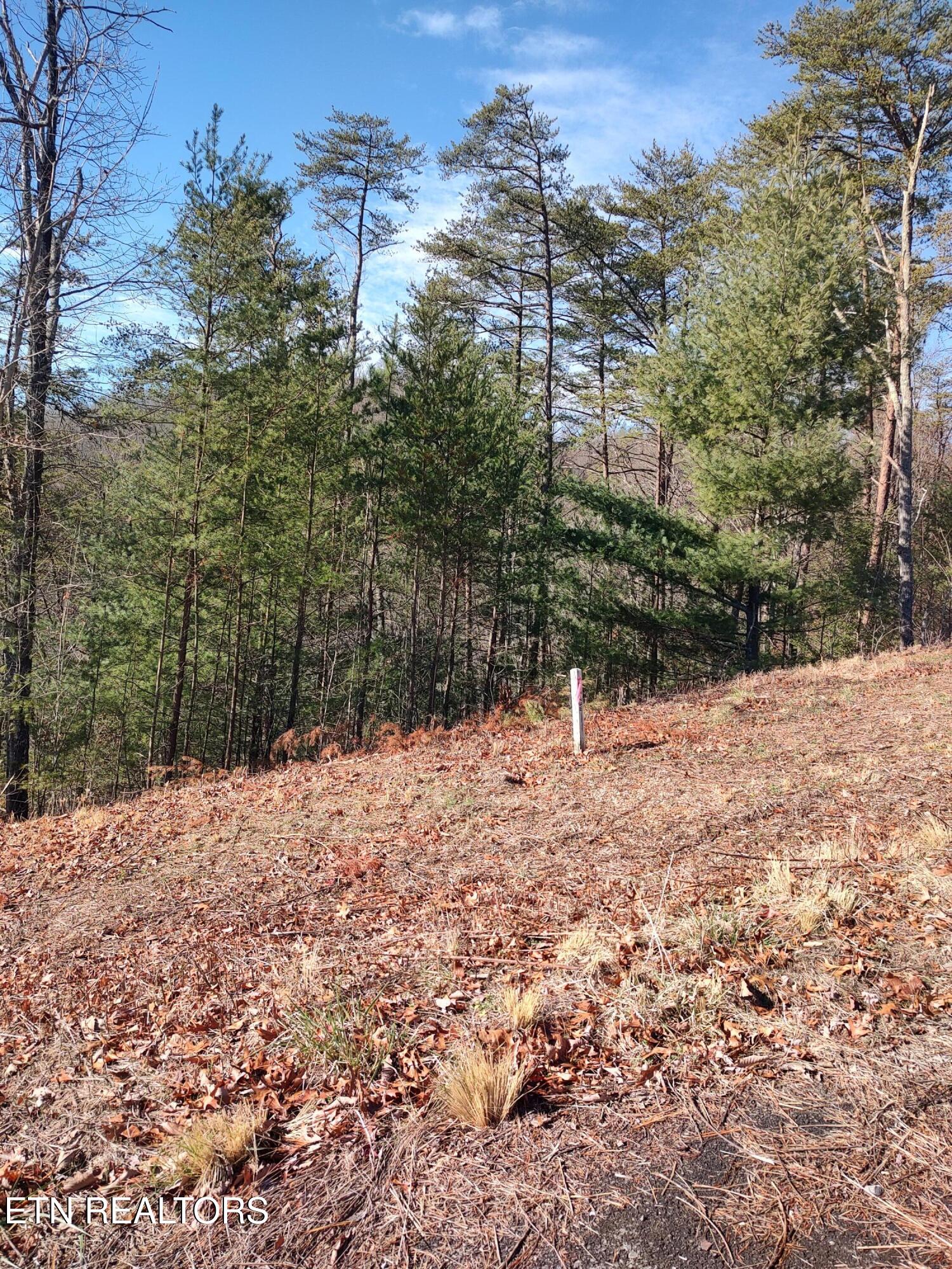 3376 Flintlock Lane Sevierville TN 37862