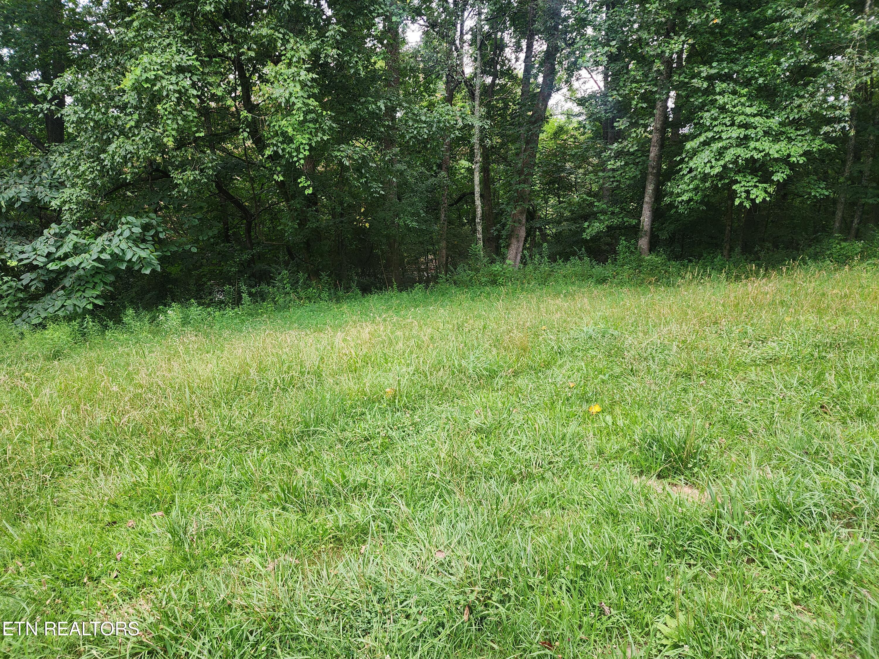 3722 Harriman Highway Harriman TN 37748