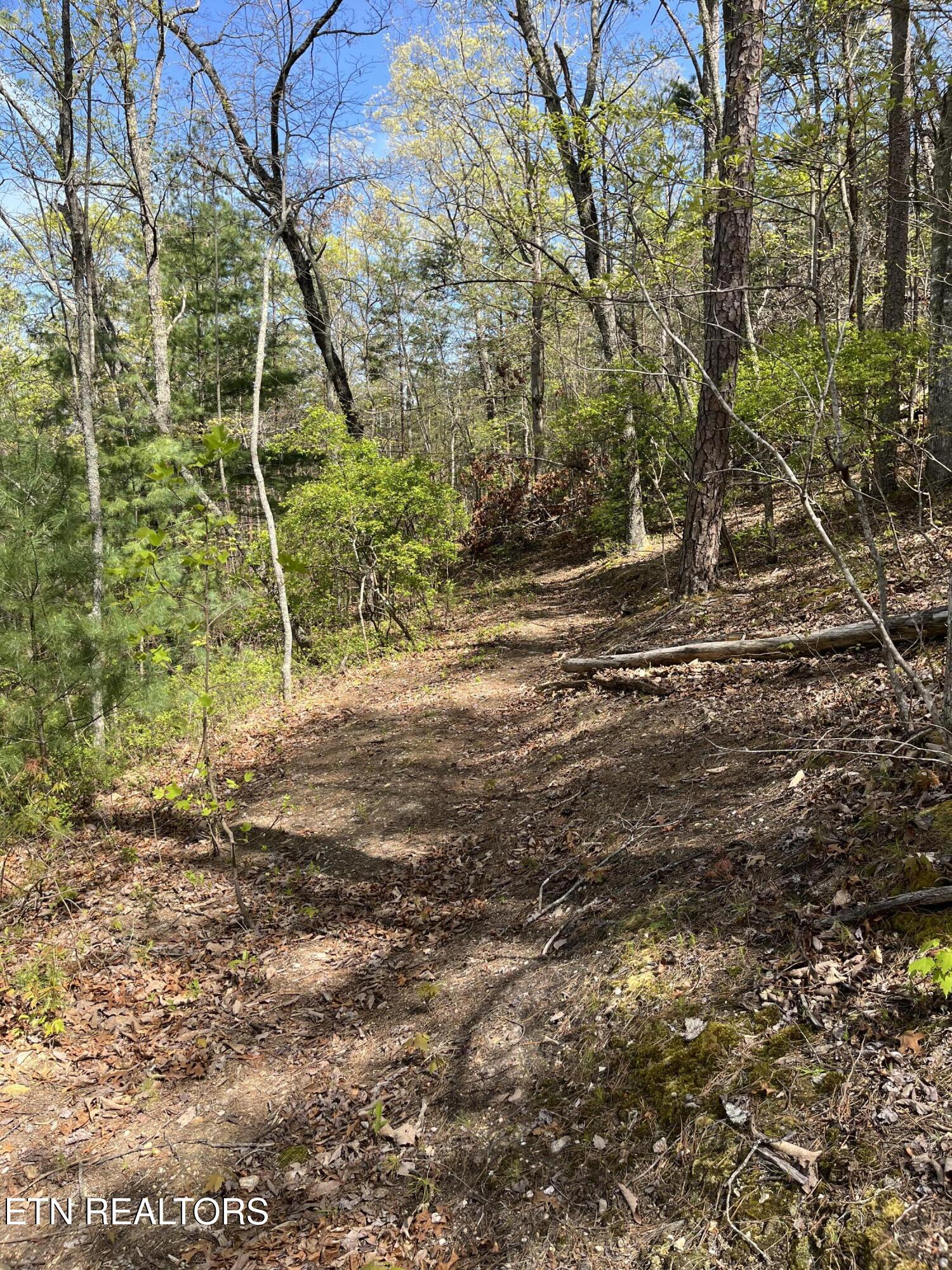 124 Indian Ridge Tellico Plains TN 37385