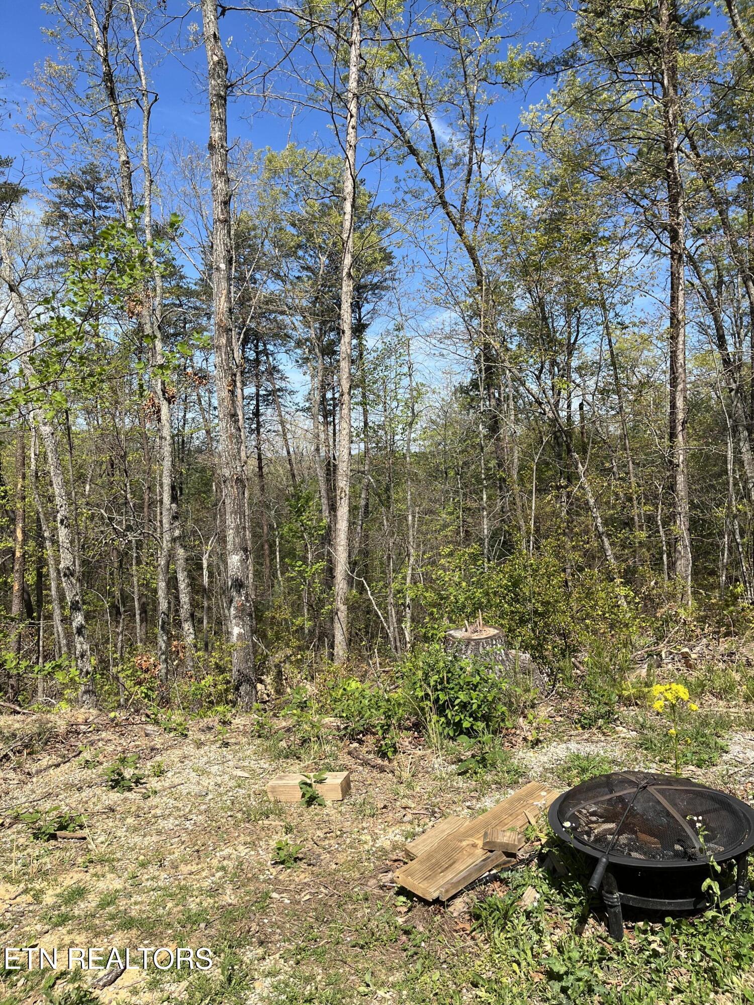 124 Indian Ridge Tellico Plains TN 37385